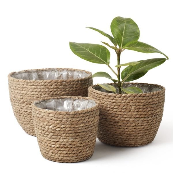 Premium Pots For Plants - Image 4